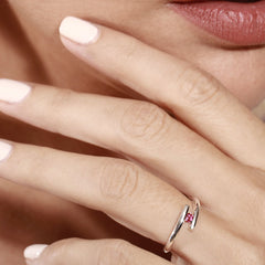 Anillo Apoyo