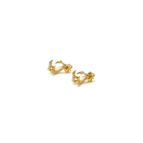 Aretes Garra Dorado