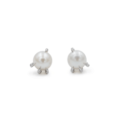 Aretes Garra Perla